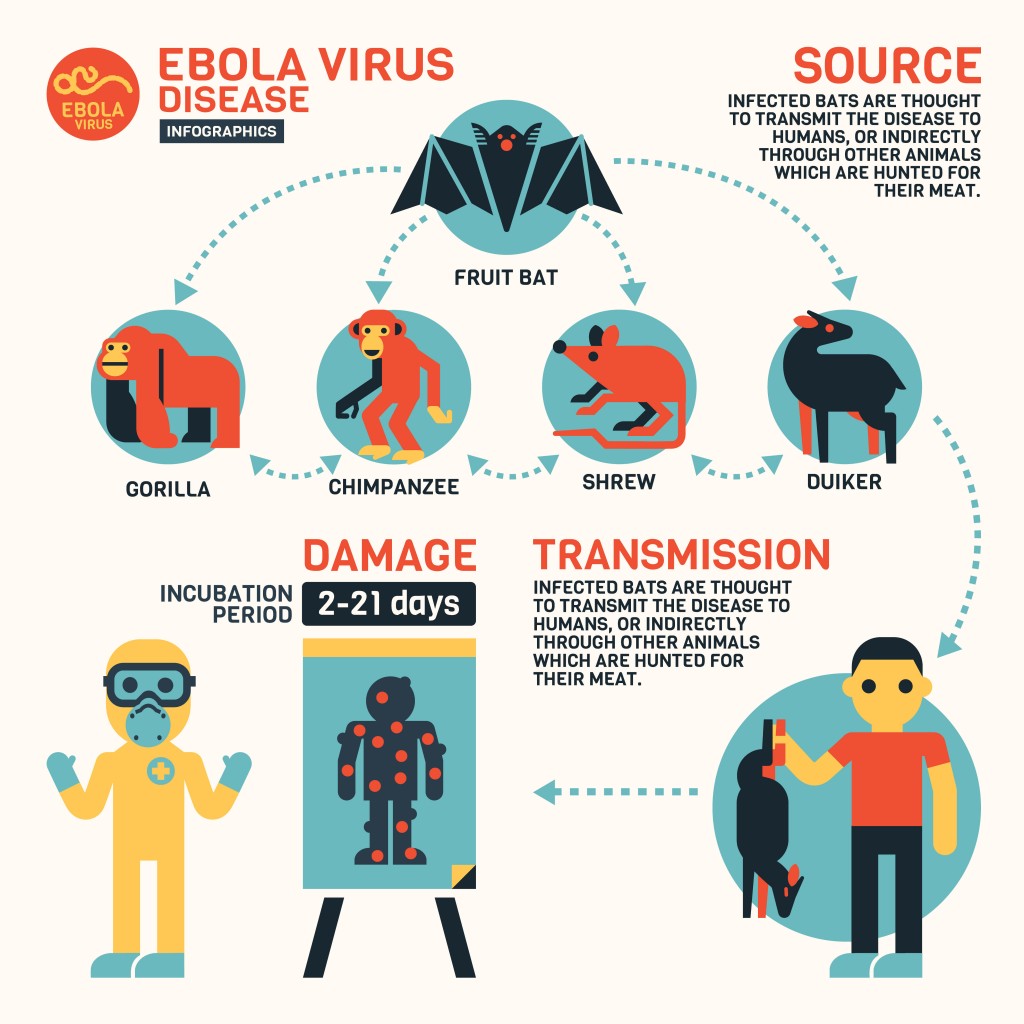 Ebola Disease Is A Rare But Deadly Disease All Day Chemist