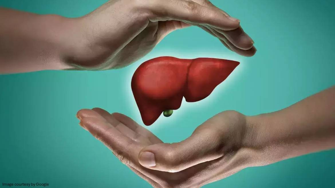 Tips to Have a Healthy Liver